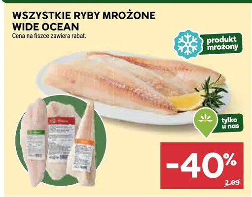 Wszystkie ryby mrożone promocja w Stokrotka