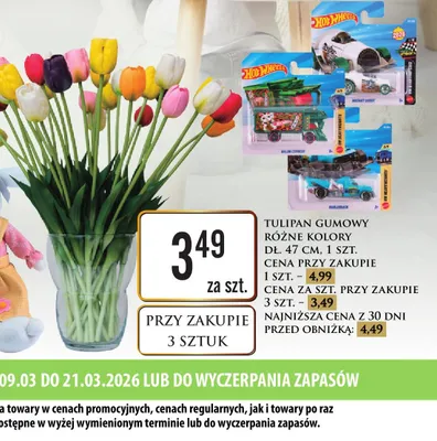 Pojazd Hot Wheels różne rodzaje promocja w Dino