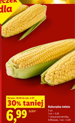 Kukurydza świeża promocja w Lidl
