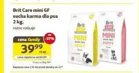Sucha karma dla psa Brit Care Mini GF promocja w Super Zoo