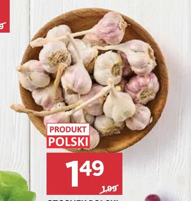 Czosnek polski Harnaś promocja w Stokrotka