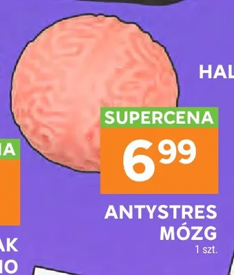 Gniotek antystresowy Mózg promocja w Stokrotka