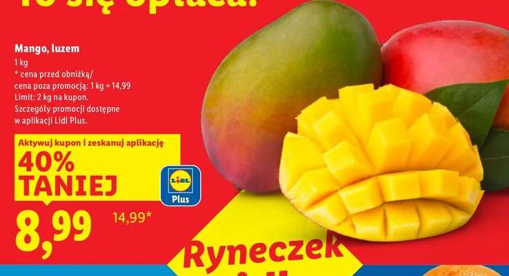 Mango, luzem promocja w Lidl
