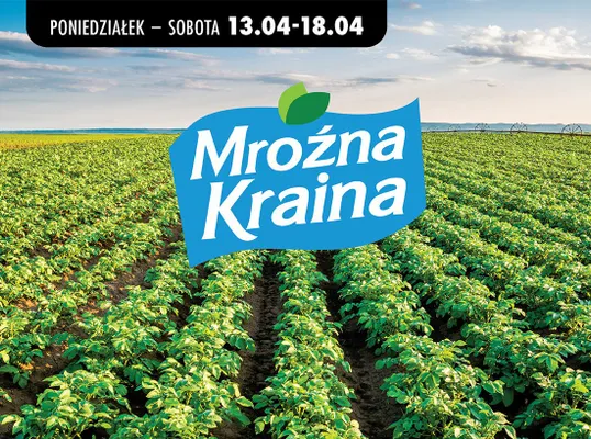 Od poniedziałku, strona 42 promocja w Biedronka