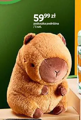 Poduszka podróżna Cappy Classes promocja w Empik