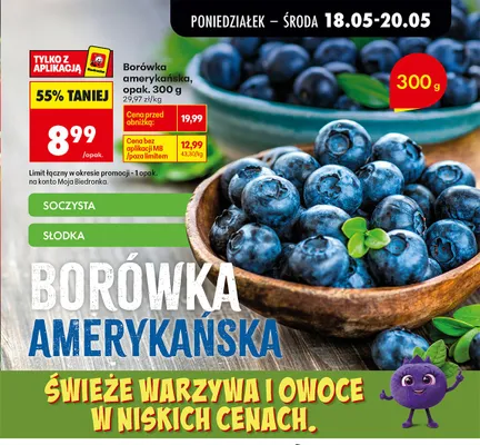 Borówka amerykańska promocja w Biedronka