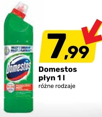 Domestos płyn różne rodzaje promocja w Bricomarche