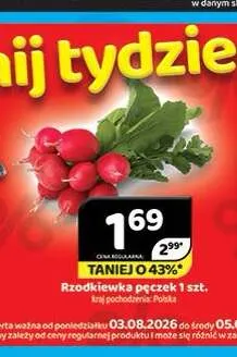 Rzodkiewka pęczek promocja w Delfin