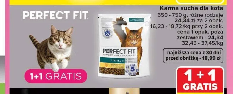 Karma sucha dla kota Perfect Fit promocja w Carrefour