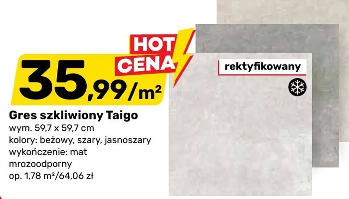 Gres szkliwiony Taigo rektyfikowany 59,7x59,7cm kolor jasnoszary wykończenie mat mrozoodporny promocja w Bricomarche
