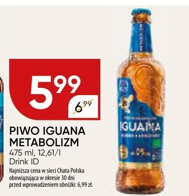 Piwo Iguana metabolizm promocja w Chata Polska