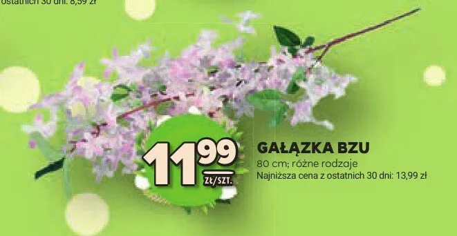 Gałązka bzu 80cm różne rodzaje promocja w Stokrotka
