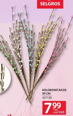 Kolorowe bazie 50 cm promocja w Selgros