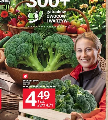 Brokuły promocja w Selgros
