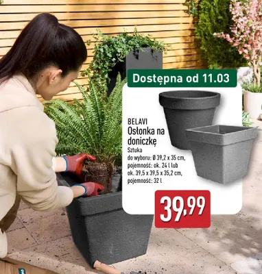 Osłonka na doniczkę Belavi promocja w Aldi