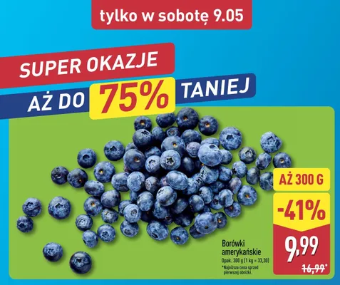 Borówki amerykańskie promocja w Aldi