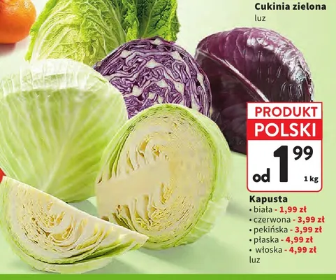 Kapusta czerwona promocja w Intermarche