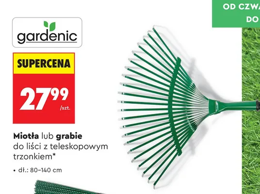 Miotła do liści z teleskopowym trzonkiem promocja w Biedronka