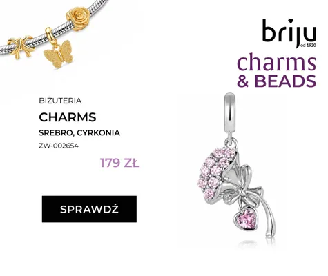 Zawieszka charms srebrna z cyrkoniami Briju ZW-002654 promocja w Briju