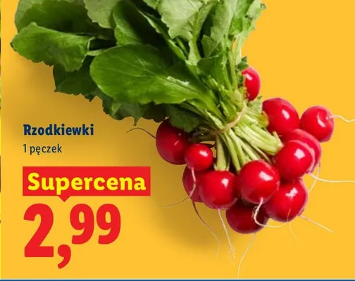 Rzodkiewki promocja w Lidl