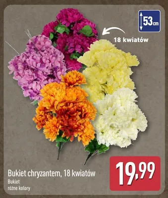Bukiet chryzantem 18 kwiatów promocja w Aldi
