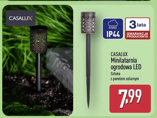Minilatarnia ogrodowa LED promocja w Aldi