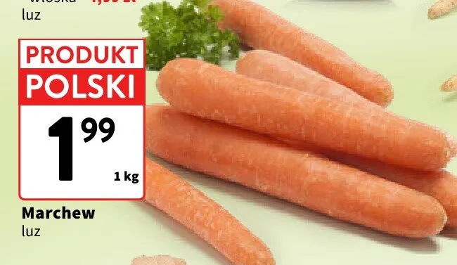 Marchew promocja w Intermarche