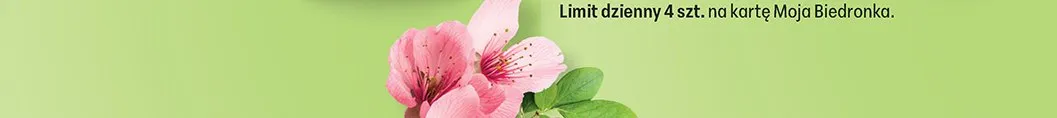 Od poniedziałku, strona 12 promocja w Biedronka
