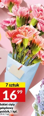 Bukiet cięty gałązkowy goździk, 7 sztuk promocja w Twój Market