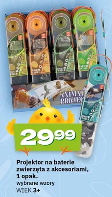 Projektor na baterie zwierzęta z akcesoriami, 1 opak. promocja w Twój Market