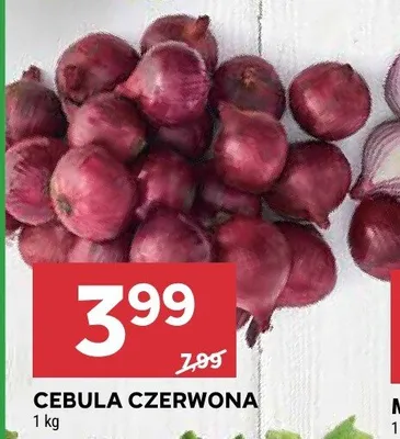 Cebula czerwona promocja w Stokrotka