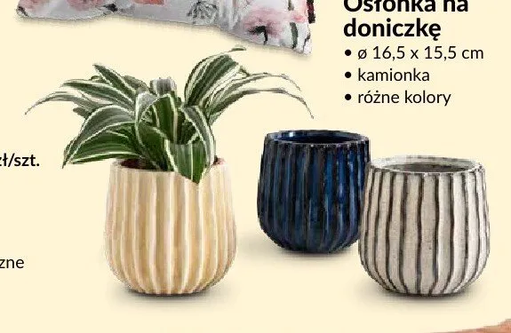 Osłonka na doniczkę promocja w Salony Agata