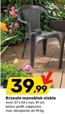 Krzesło monoblok niskie promocja w Bricomarche
