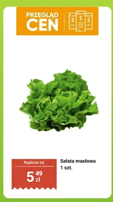 Sałata masłowa 1 szt. promocja w Biedronka