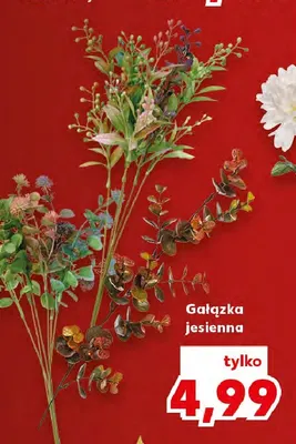 Gałązka jesienna promocja w Kaufland