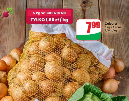 Cebula promocja w Dino