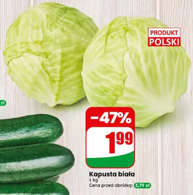 Kapusta biała Dino promocja w Dino