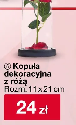 Kopuła dekoracyjna z różą promocja w Woolworth