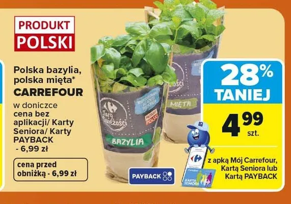 Bazylia w doniczce polska Carrefour promocja w Carrefour Market