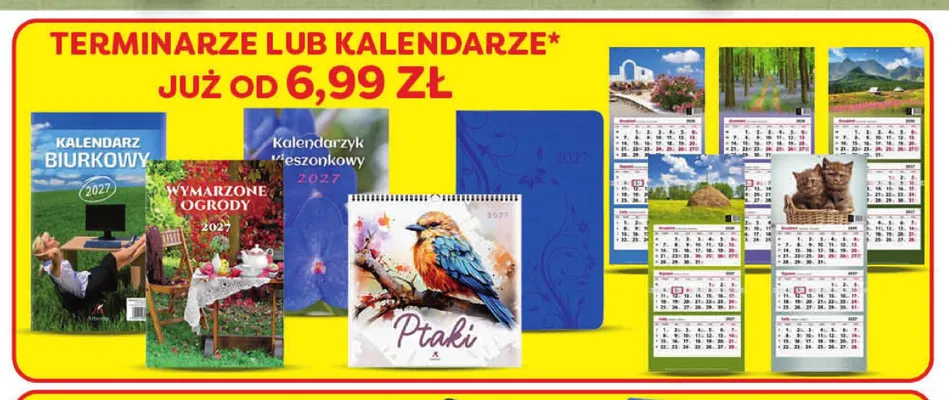 Terminarze promocja w POLOmarket
