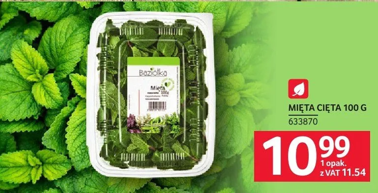 Mięta cięta promocja w Selgros
