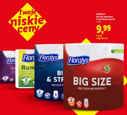 Ręcznik papierowy 2-warstwowy Big Size Floralys promocja w Lidl