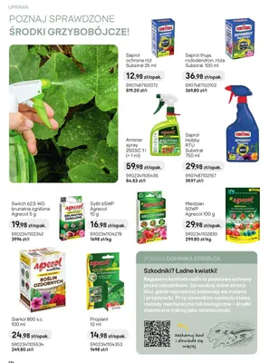 Środek grzybobójczy Saprol Hobby RTU 750ml promocja w Castorama