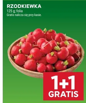 Rzodkiewka promocja w Stokrotka