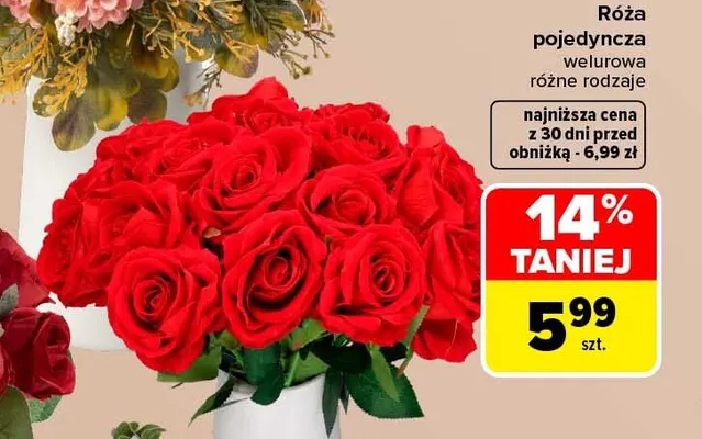 Róża pojedyncza welurowa promocja w Carrefour