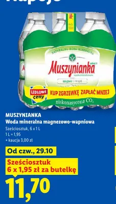 Woda mineralna magnezowo-wapniowa Muszynianka 6-pak promocja w Lidl