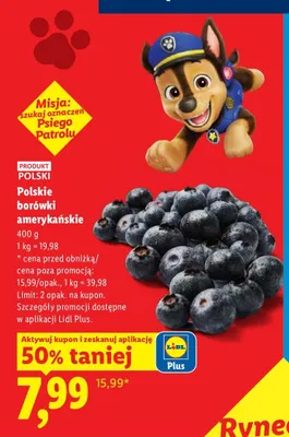 Borówki amerykańskie polskie Ryneczek Lidla promocja w Lidl