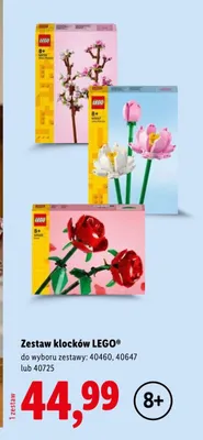 Zestaw klocków LEGO 40460 promocja w Lidl