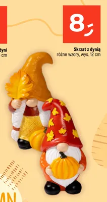 Skrzat z dynią promocja w Dealz