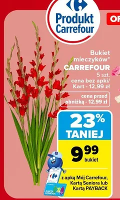 Bukiet mieczyków Carrefour promocja w Carrefour